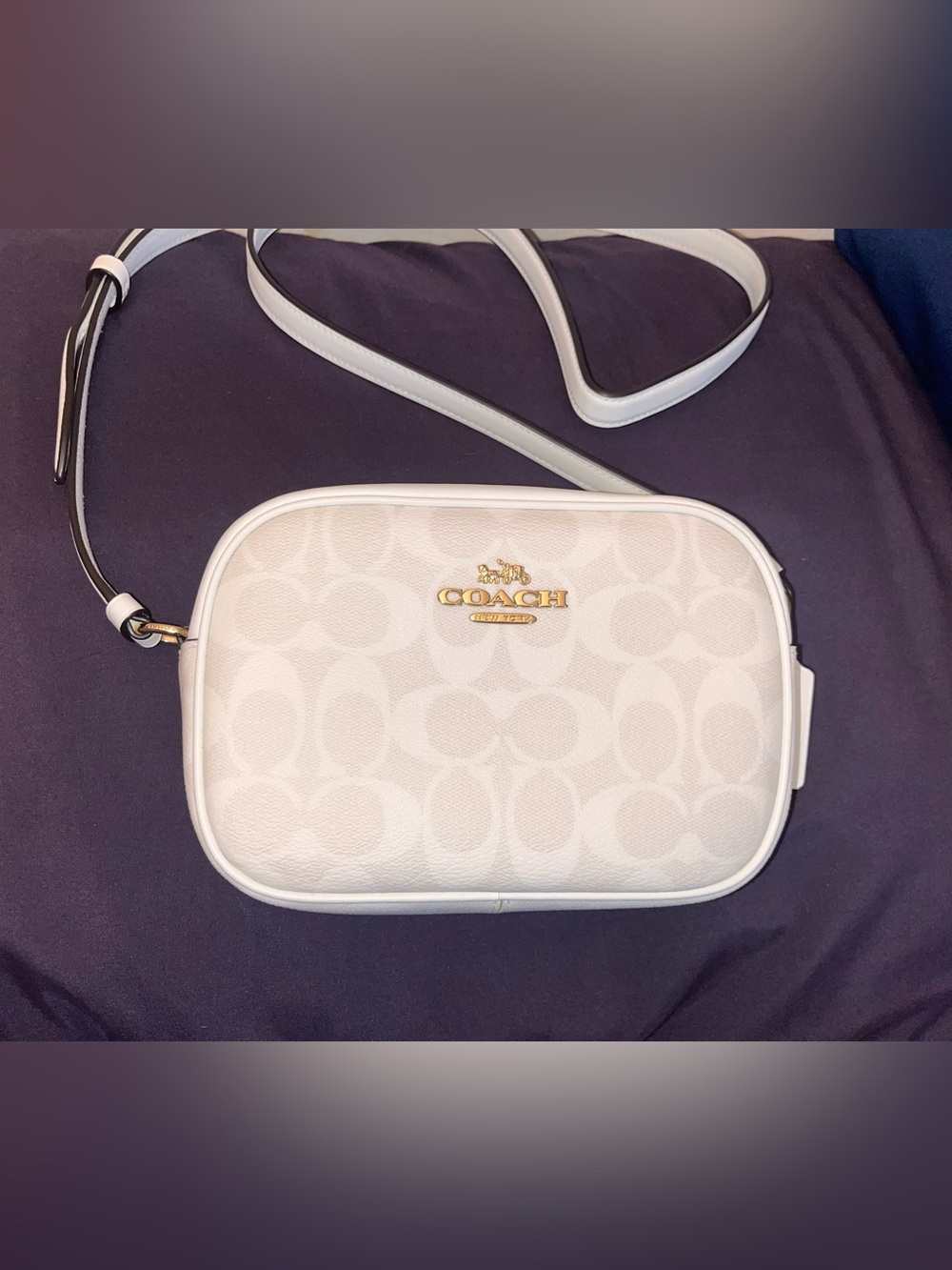 Coach Mini Jamie Camera Bag in Signature Canvas